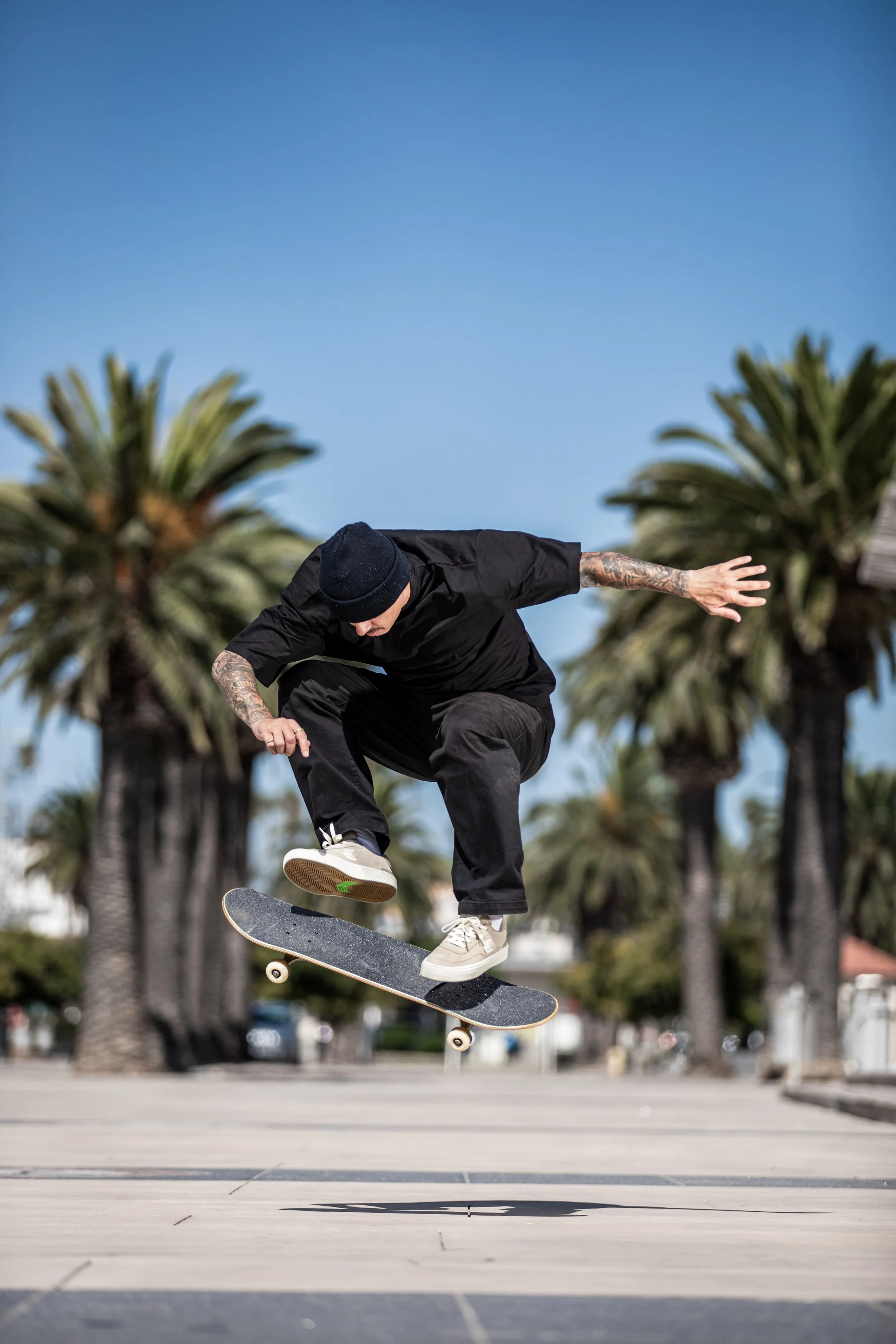Luan tre flip on flat (RE-EDIT).JPG