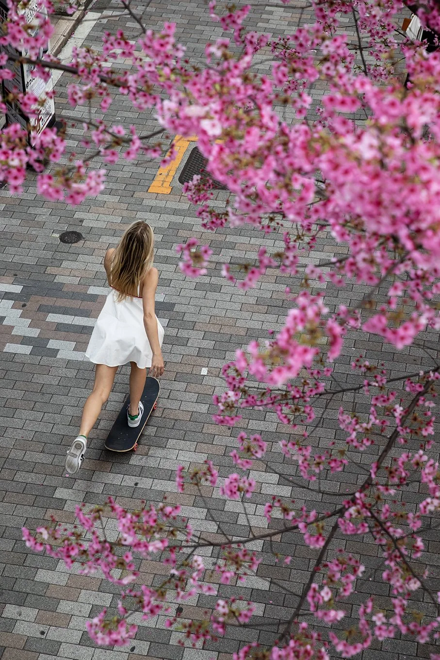Sterre pushing under cherry blossom trees.jpg