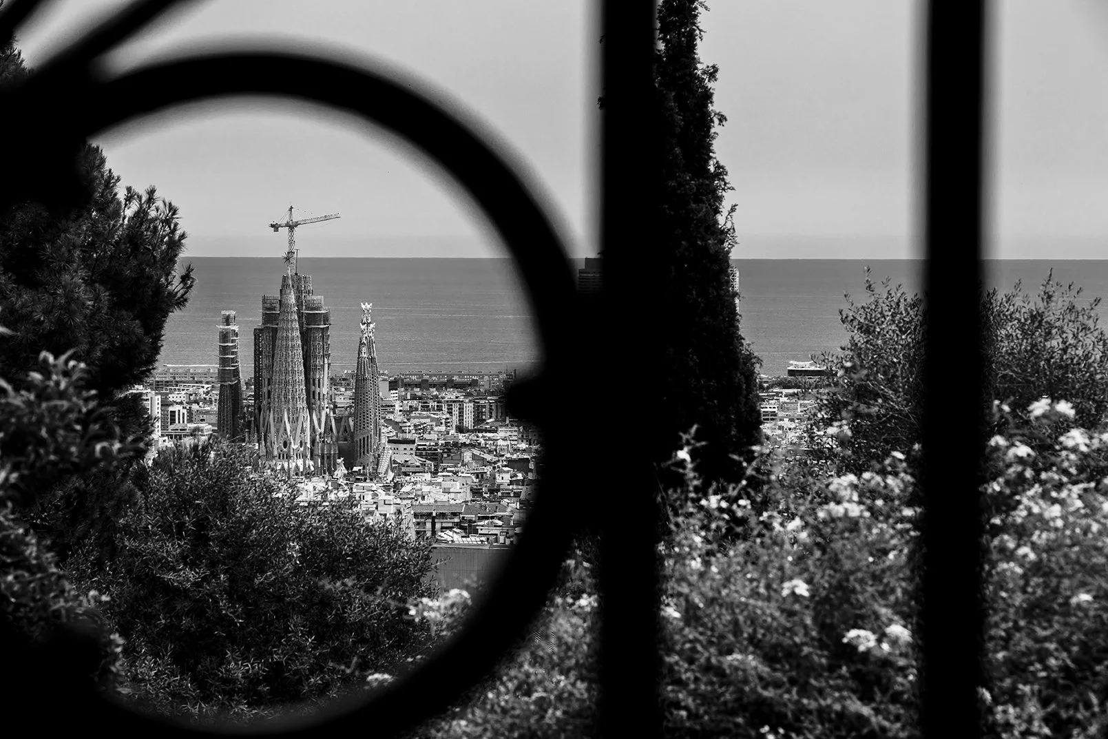 Sagrada Familia city scenery 3.jpg