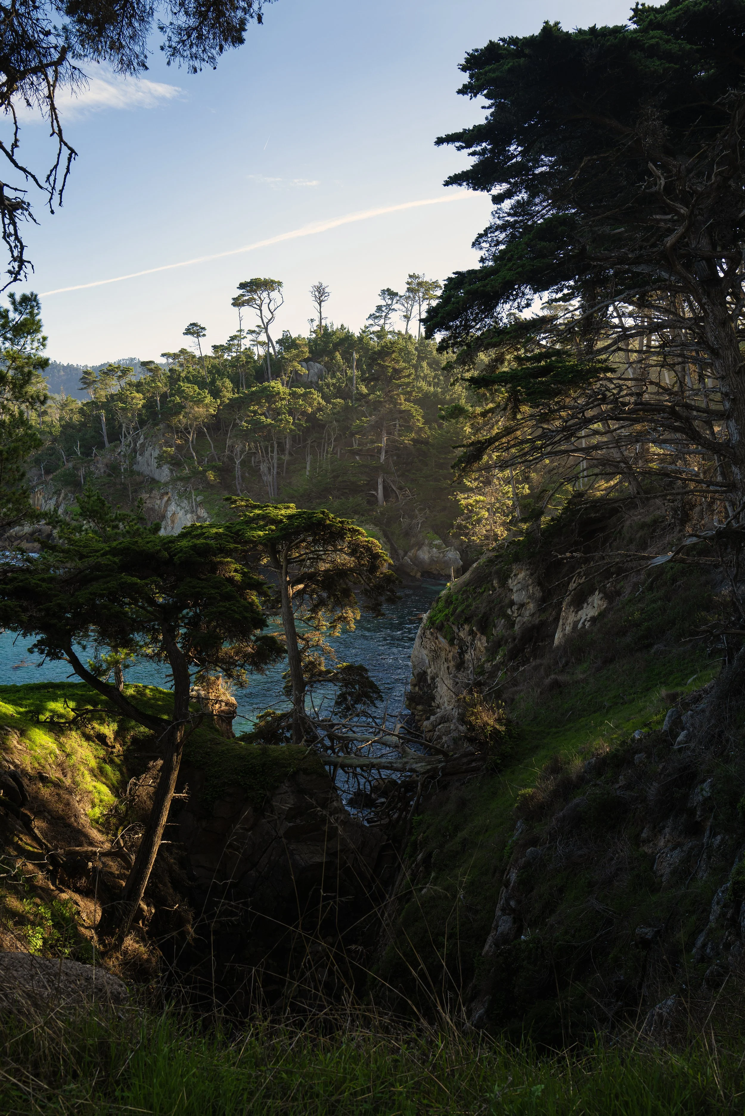 Point Lobos scenery 4.jpg