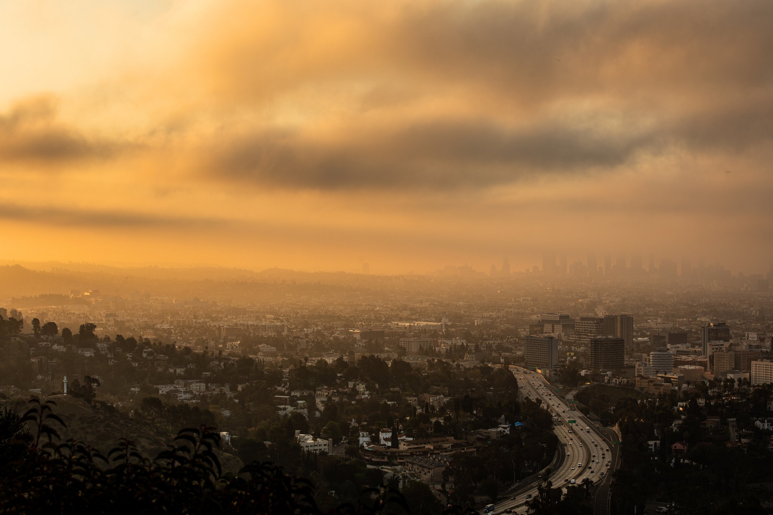 LA skyline.JPG