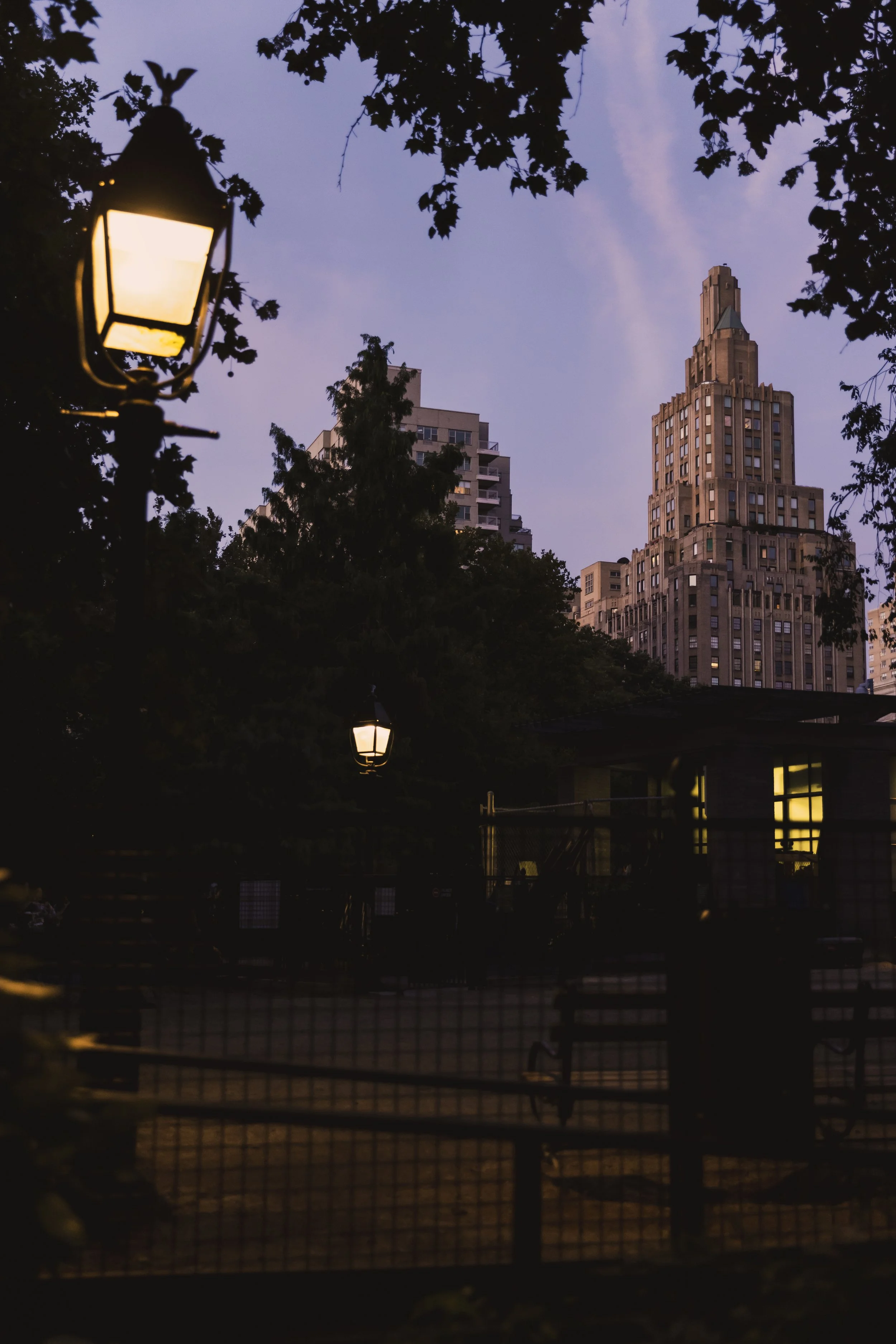 NYC park 1.JPG