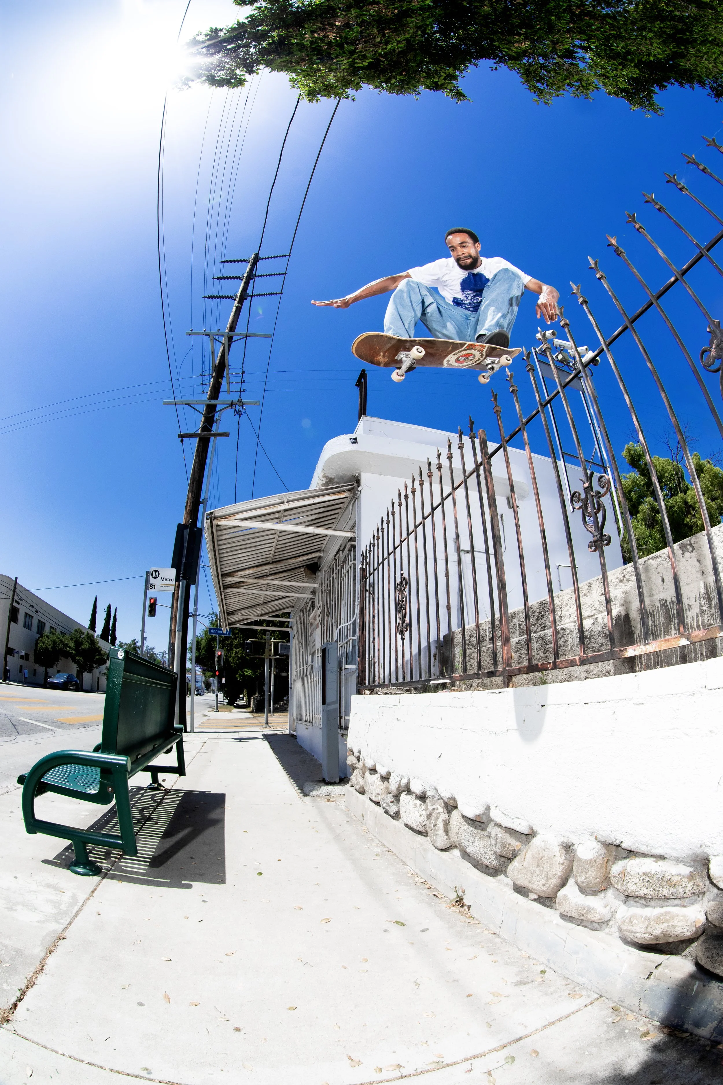 Timmy ollie over fence.JPG