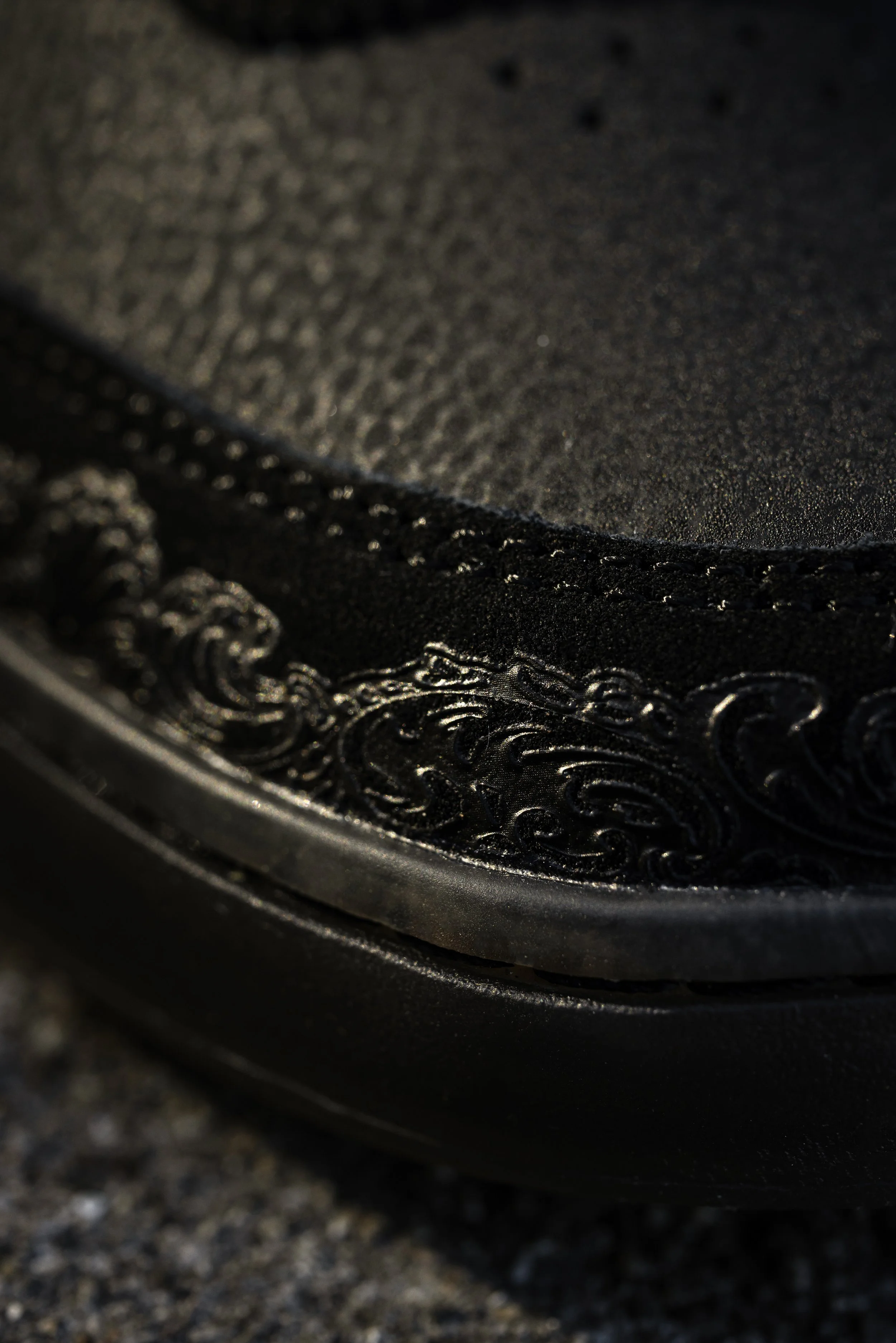 SkateMore Milans detail product photo on stairs at Pine Grove 2.JPG