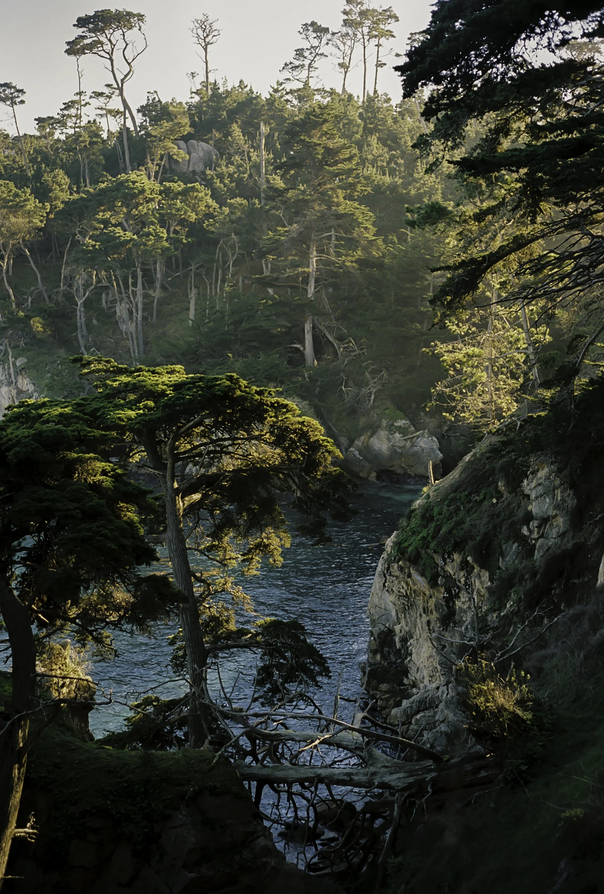 Point Lobos scenery 1.JPG