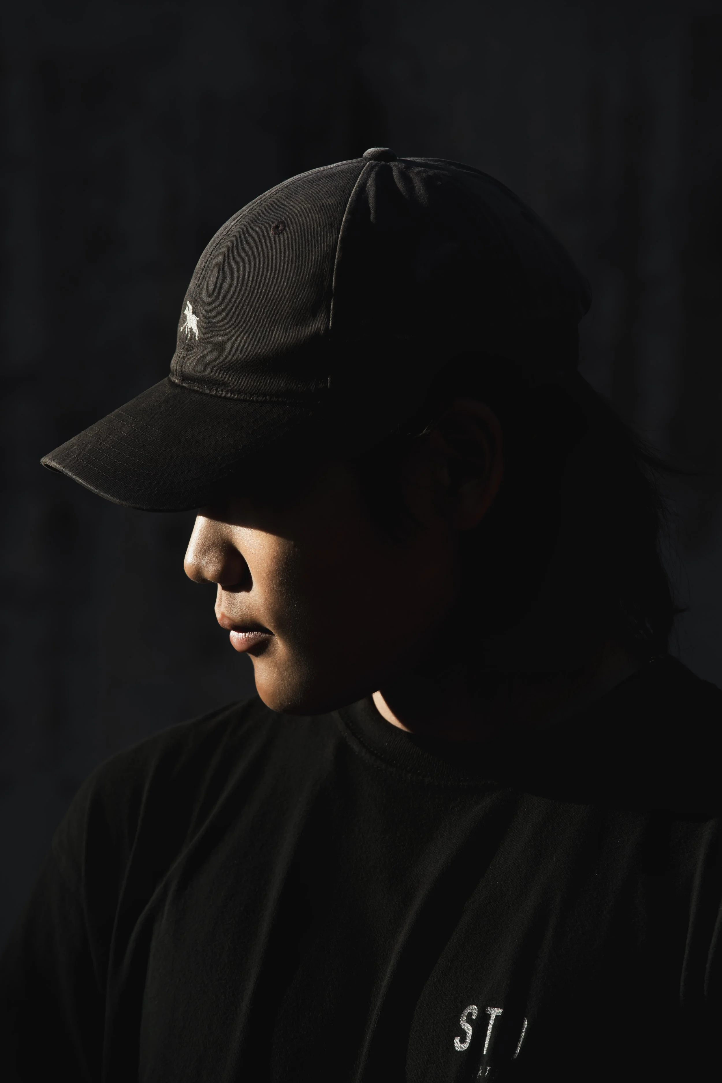 Hibiki side profile portrait.JPG