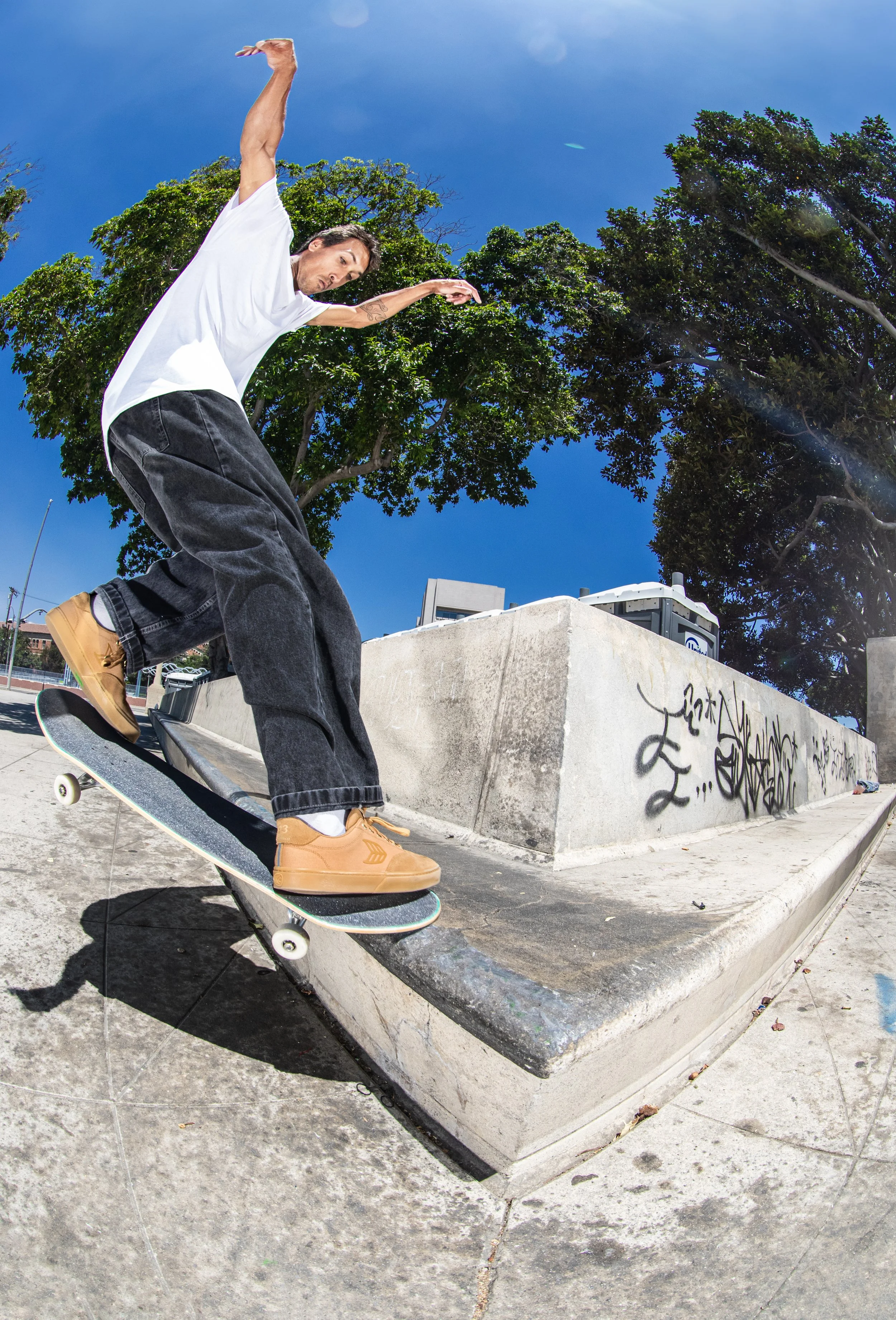 Cody wallie fs nose 2.JPG