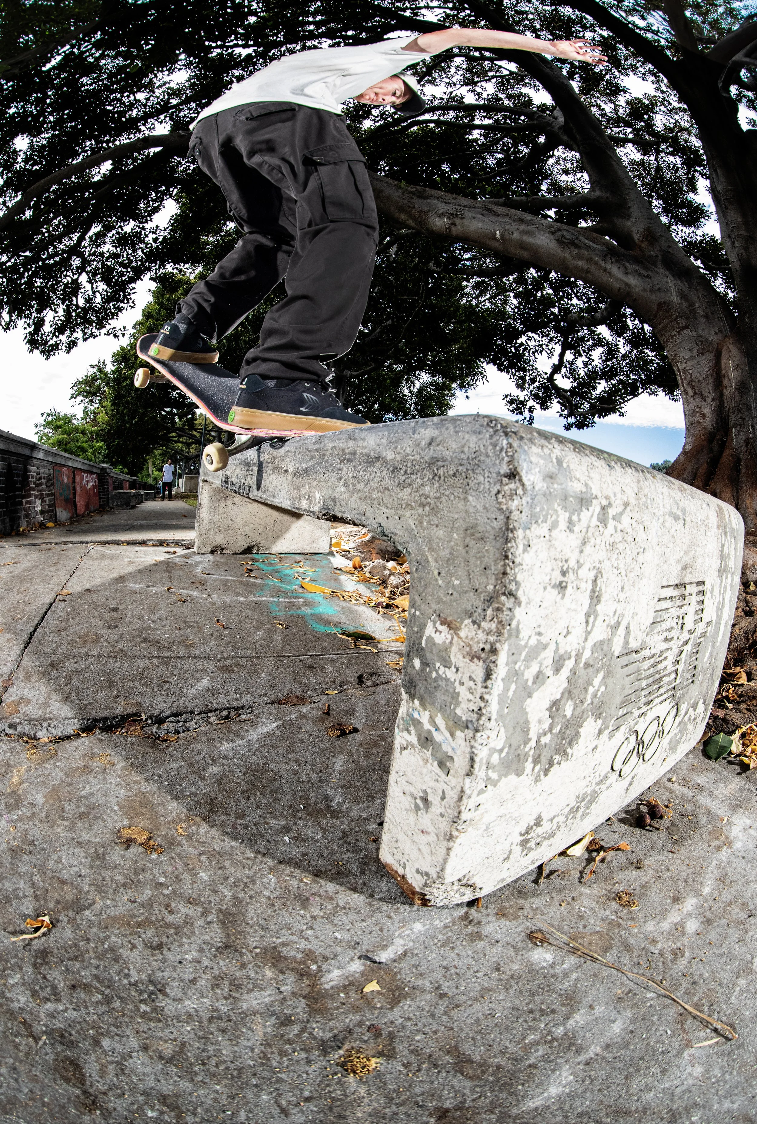 Tyler fs crook ledge 1.jpg