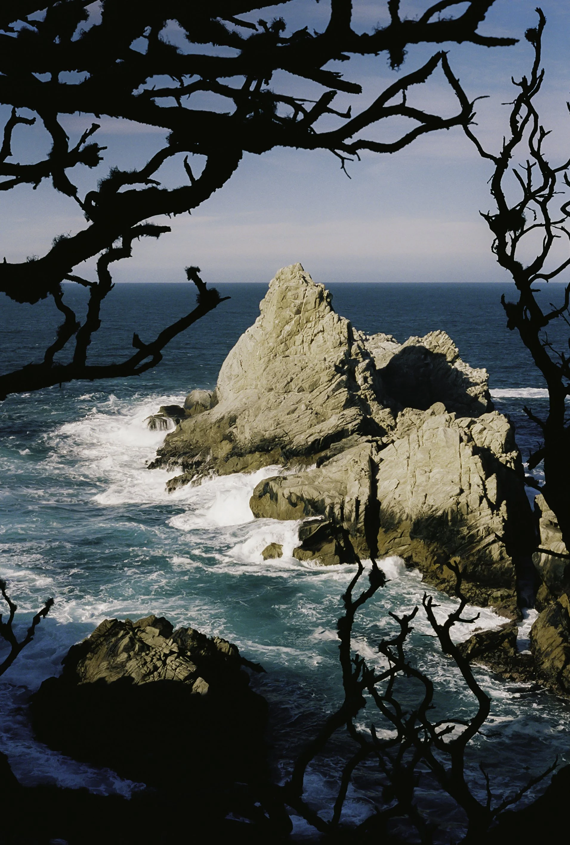 Point Lobos scenery 3.JPG
