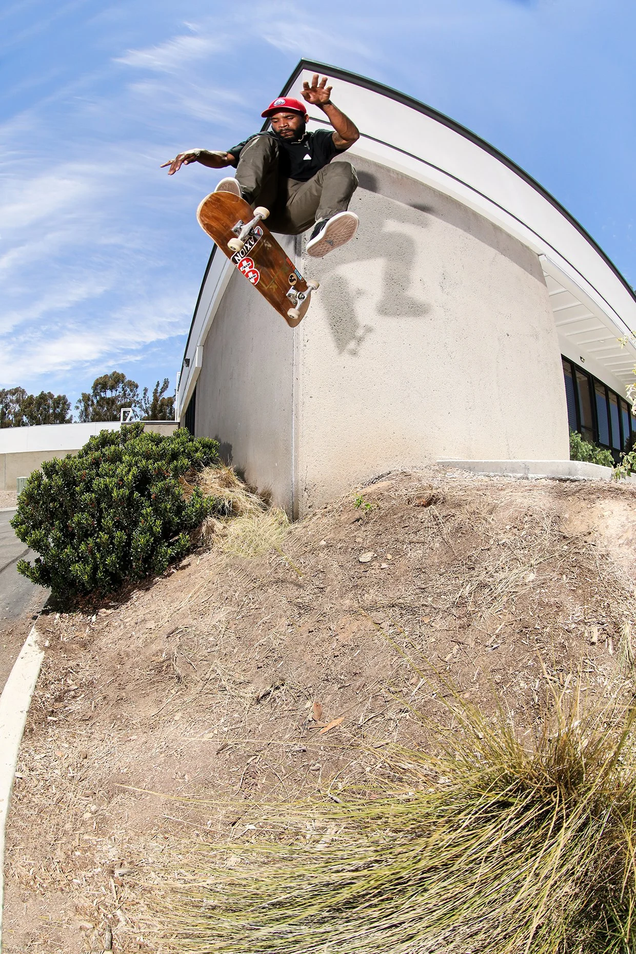 Dwrex hardflip.jpg