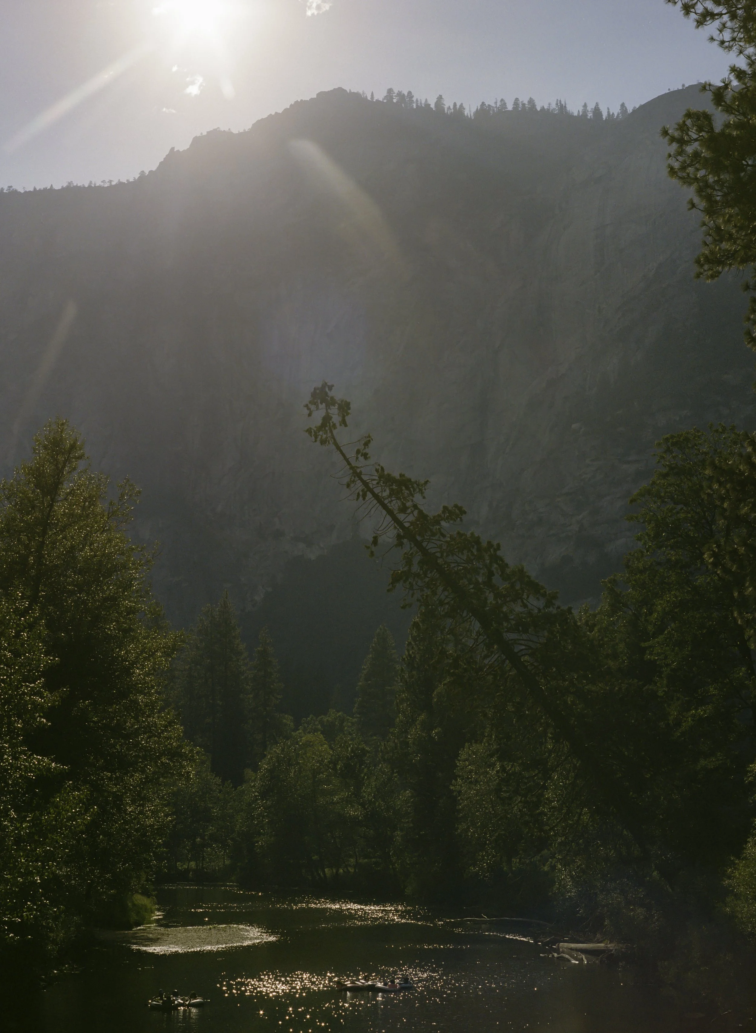 Yosemite scenery 7.JPG