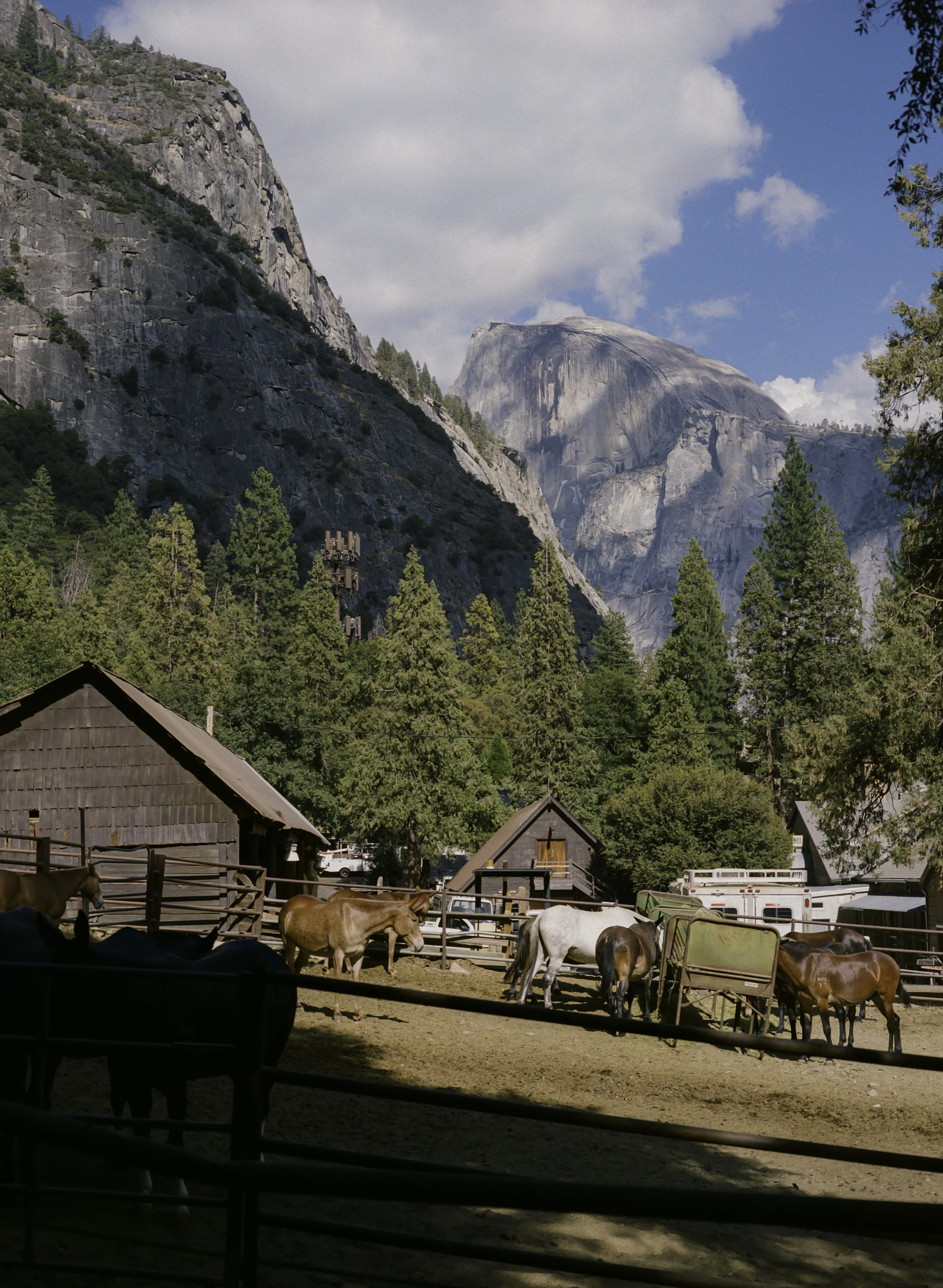 Yosemite scenery 5.JPG