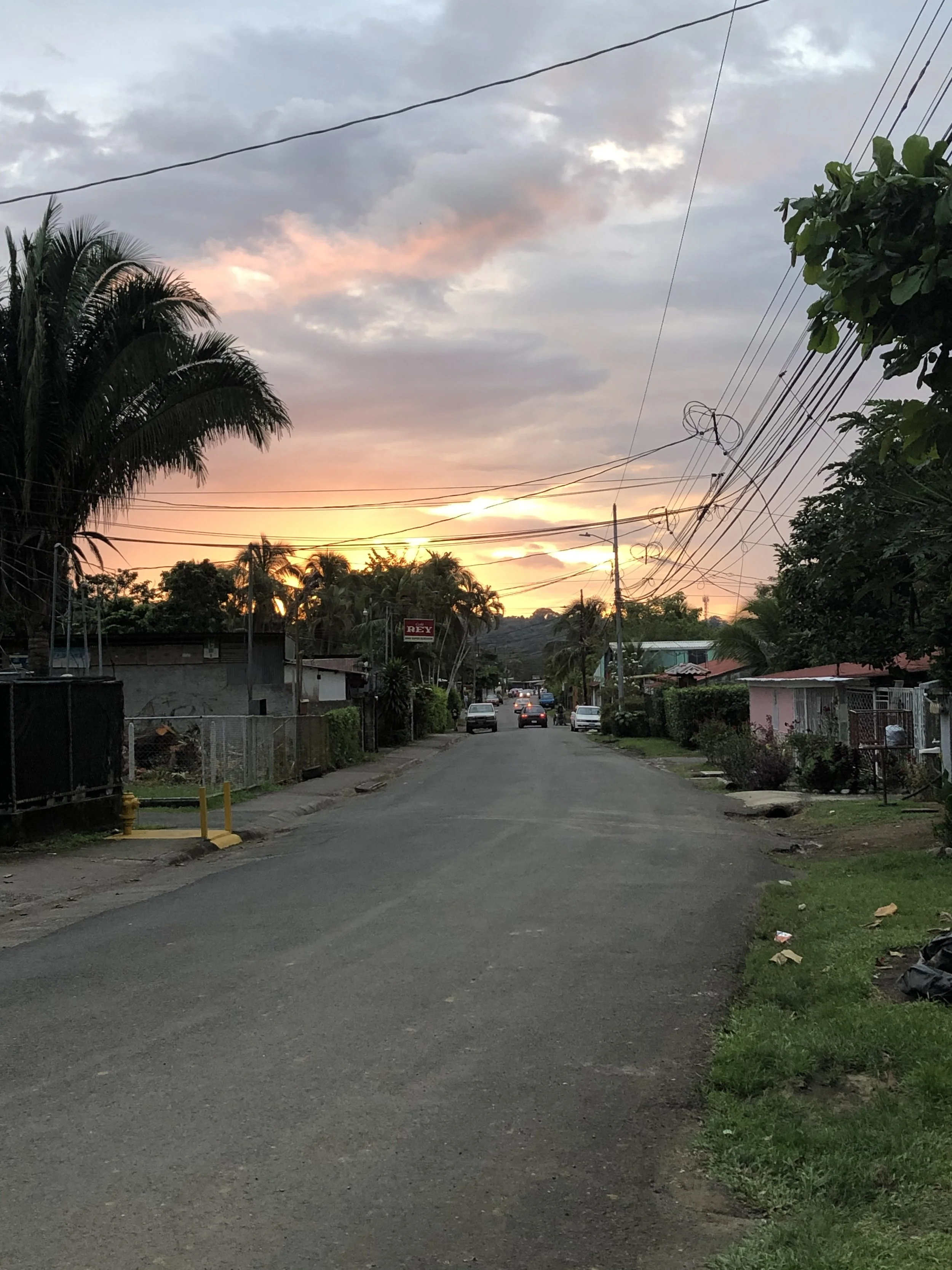 IMG_3954.jpeg