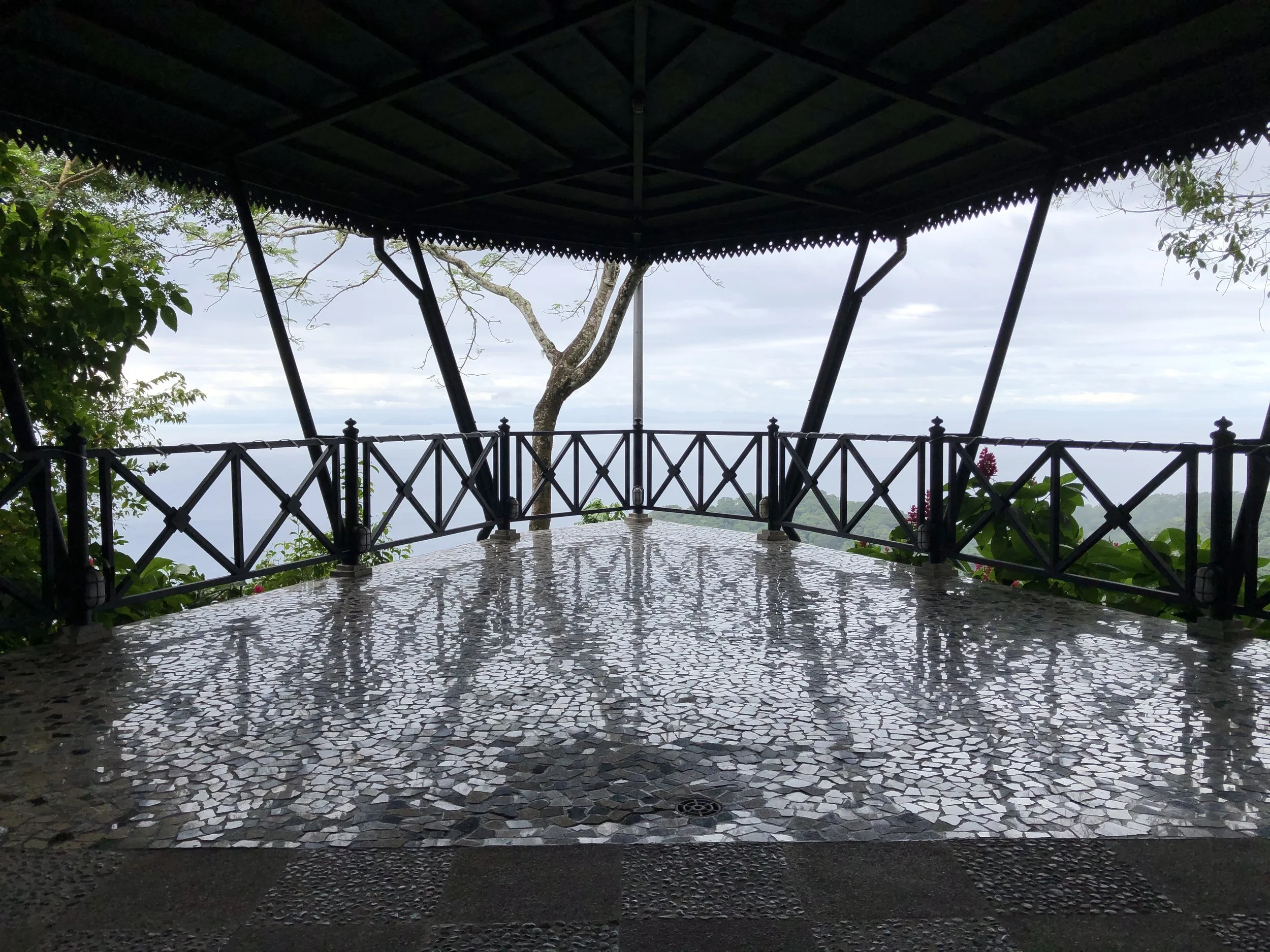 IMG_3974.jpeg