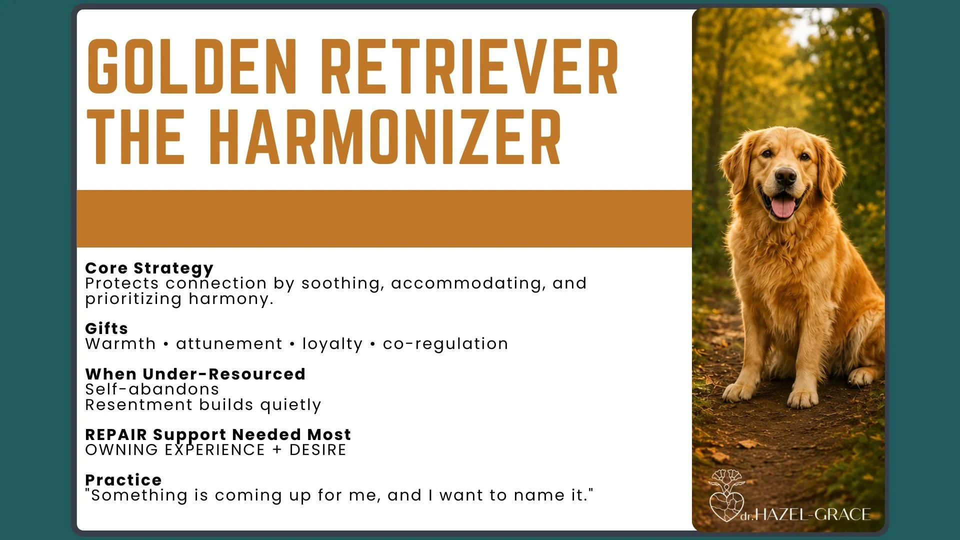 A presentation slide titled 'Golden Retriever the Harmonizer' with a photo of a golden retriever dog sitting outdoors on a pathway surrounded by trees with fall foliage. The slide includes sections about core strategy, gifts, when under-resourced, repair support needed most, and practice.