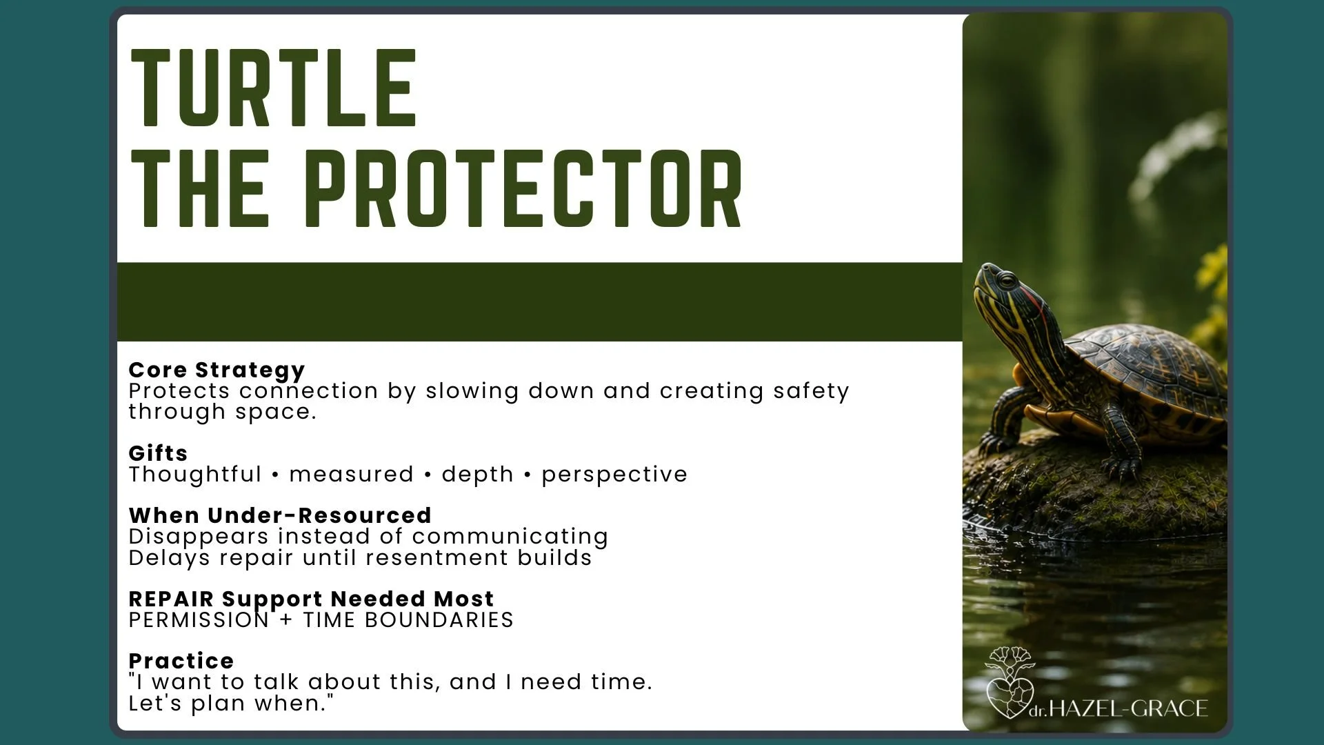 A presentation slide titled "Turtle the Protector" with a photo of a turtle in a natural setting on the right side. The slide contains bullet points about core strategies, gifts, when under-resourced, repair support needed most, and practice, authored by Dr. Hazel Grace.