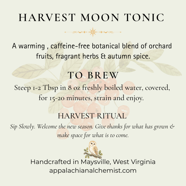 APPALACHIAN ALCHEMIST (9).png