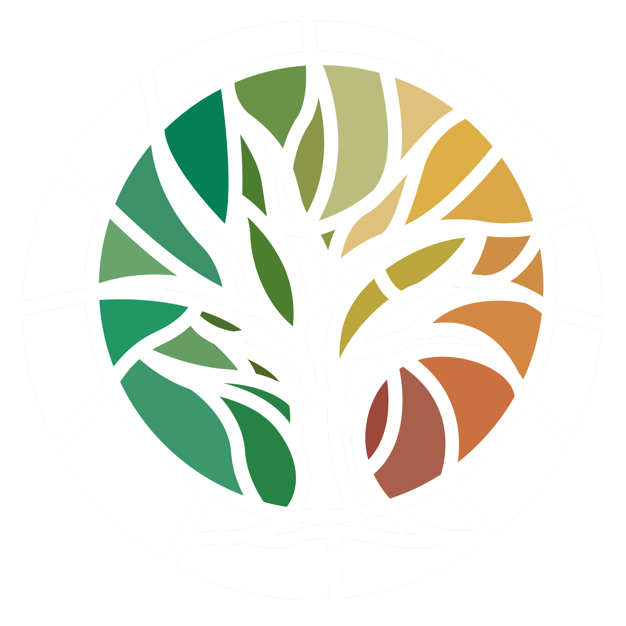 Abstract, colorful, circular design with black outlines and segments in green, yellow, orange, and purple on a black background.