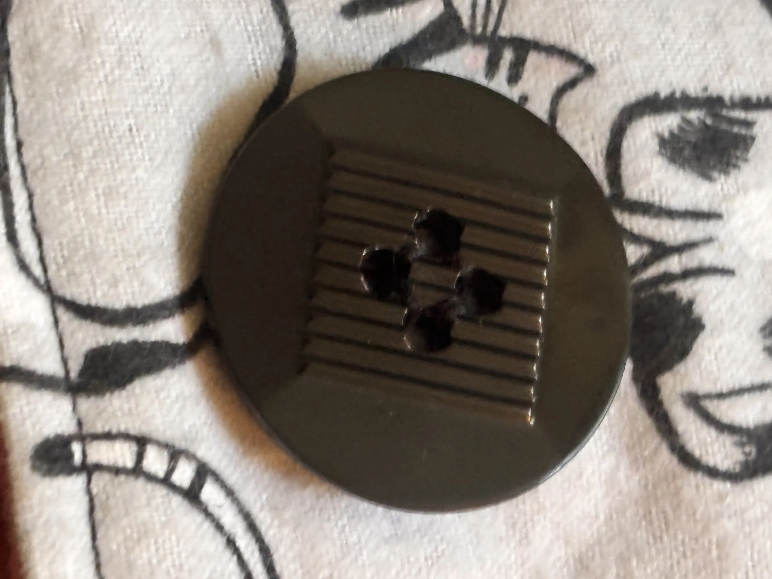 IMG_9361.jpeg