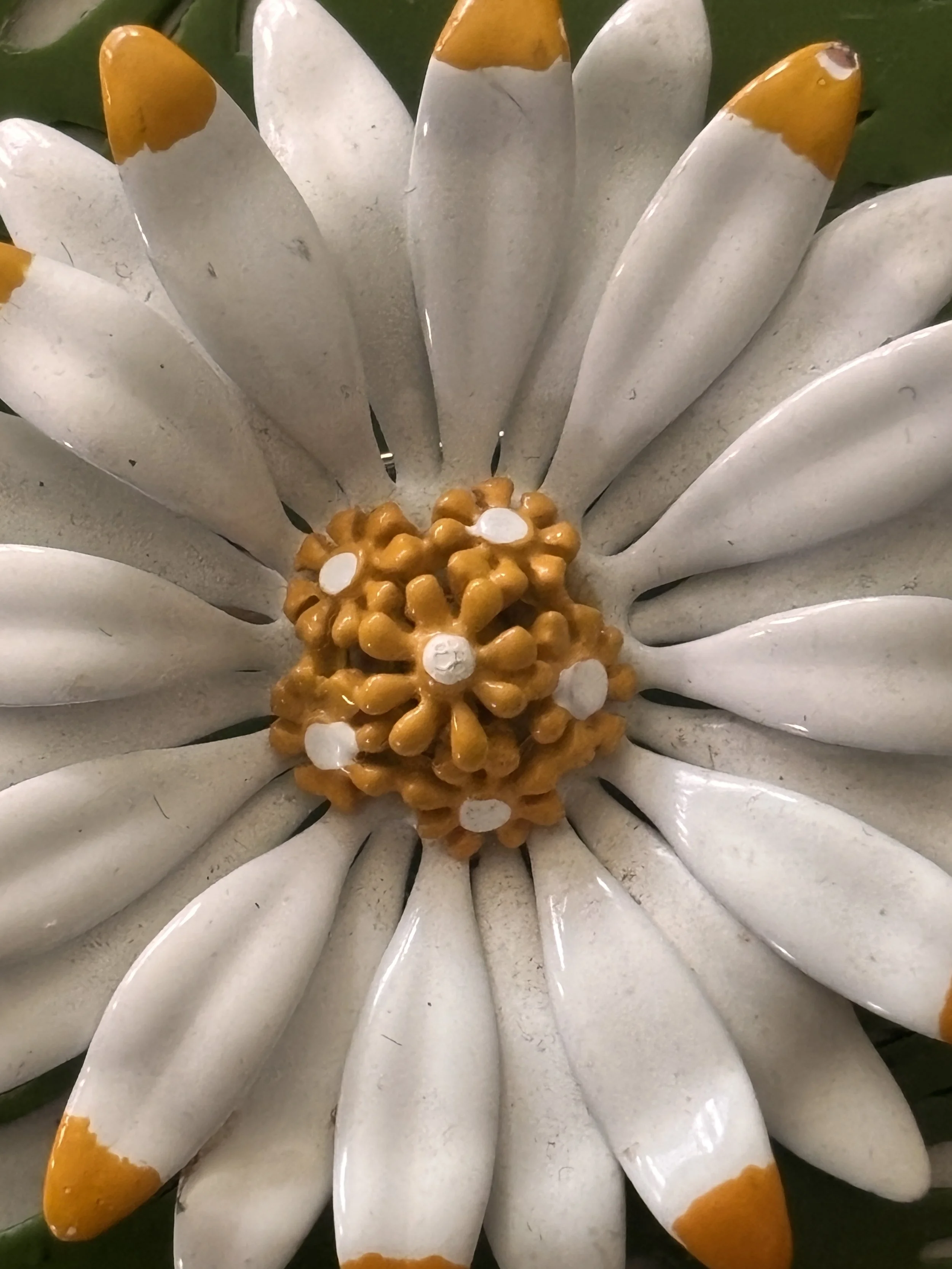 IMG_8805.jpeg