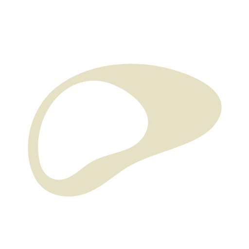 Illustration of a stylized, abstract shape resembling a bean or kidney.