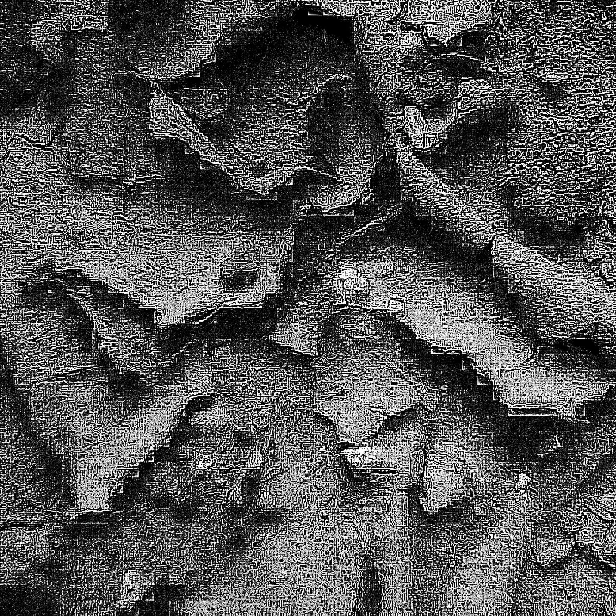 Flakes of Mud.jpg