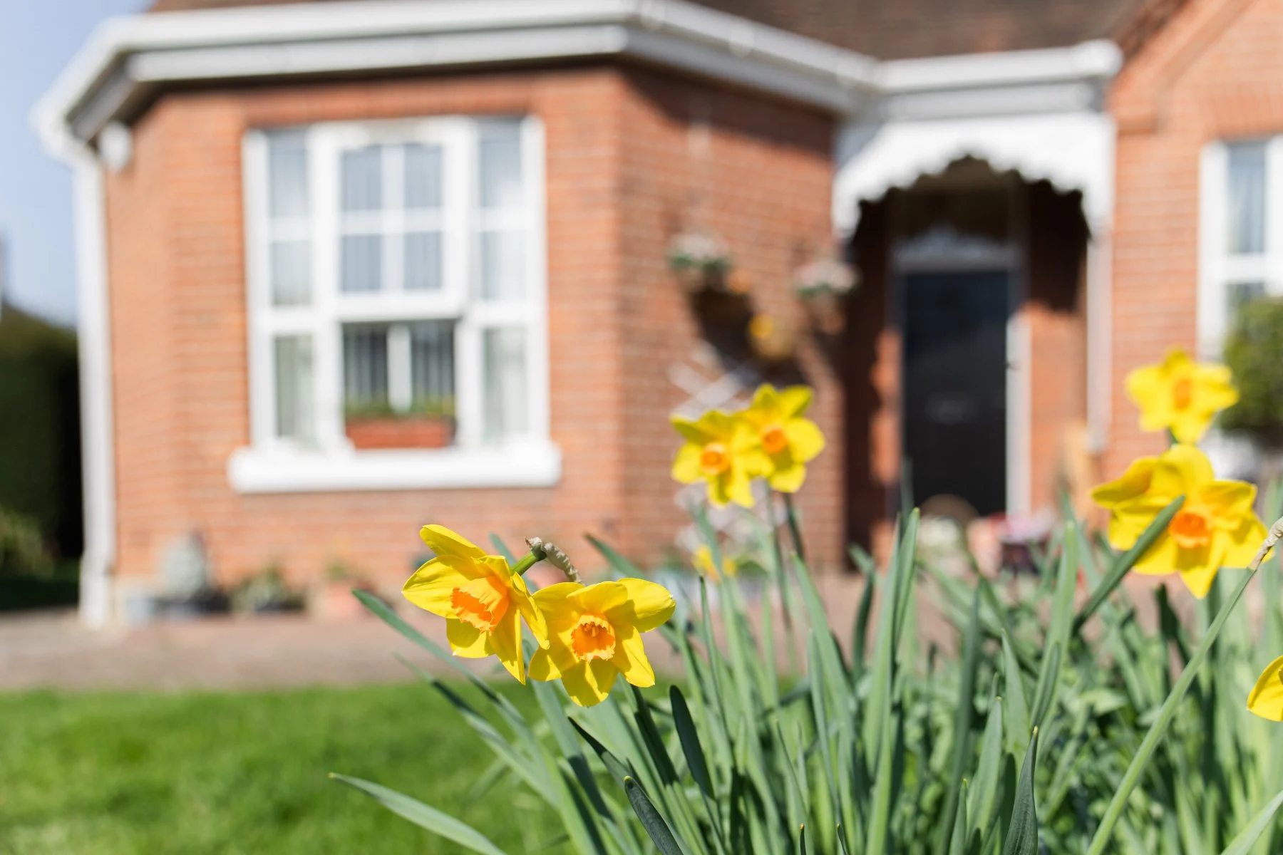 Flowers at our Almshouses