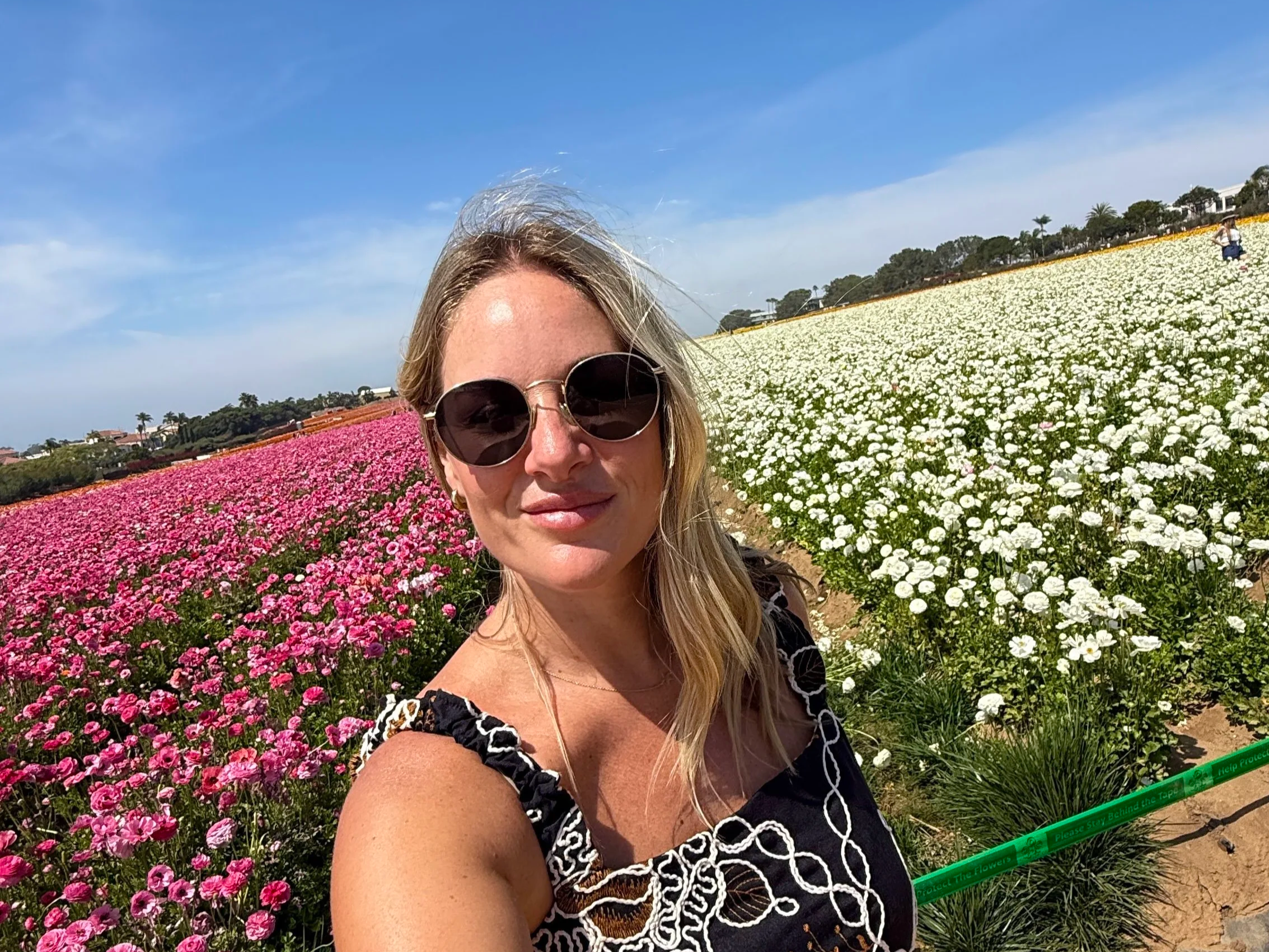 What to Expect at the Flower Fields in Carlsbad