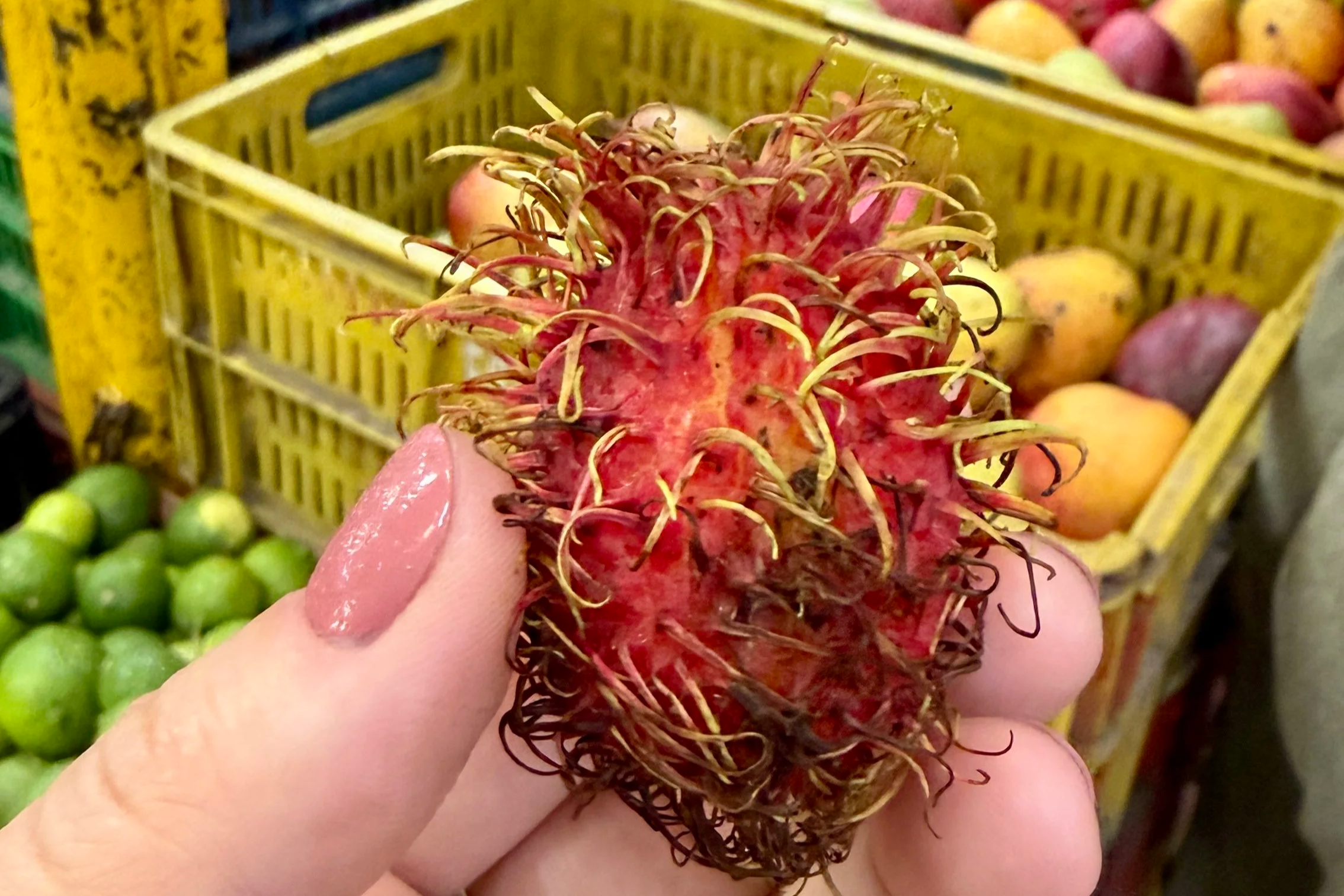 Medellín's Exotic Fruit Tour Will Make You Rethink Everything You Know About Fruit