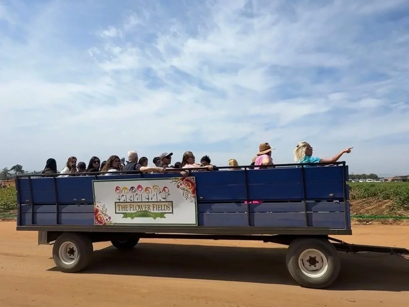 Tractor Wagon Ride in the Flower Fields in Carlsbad, California