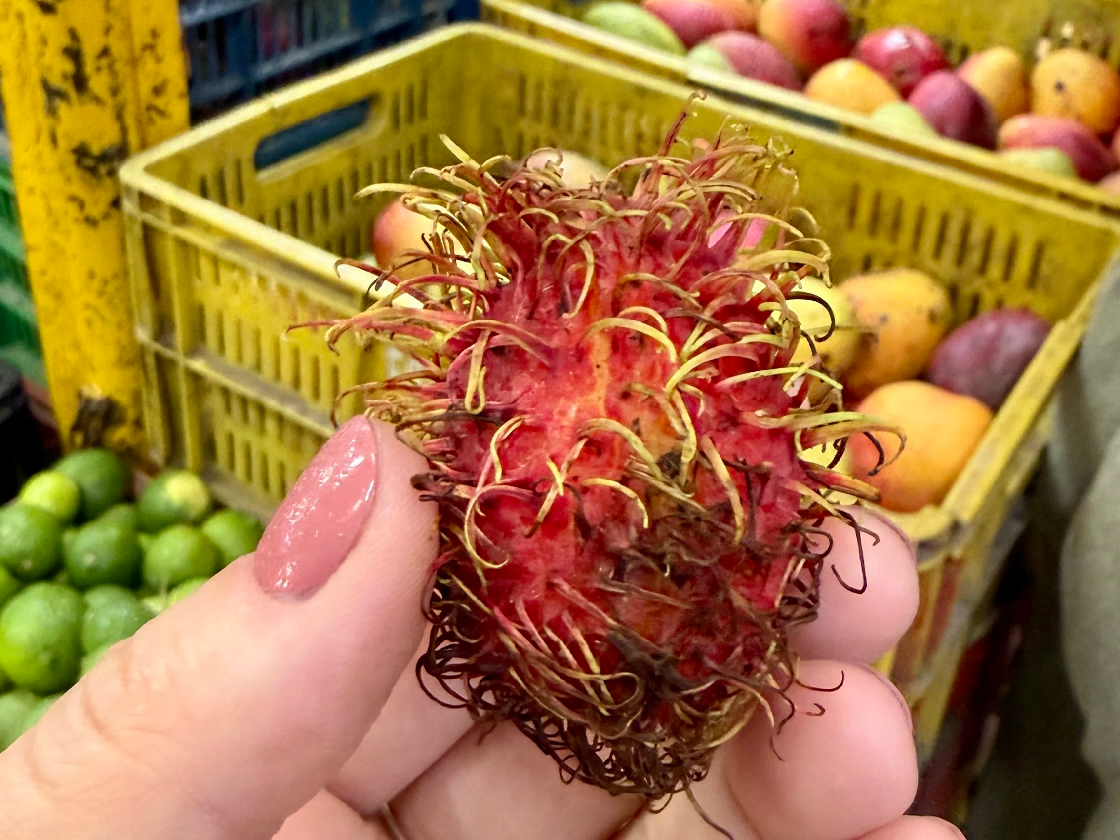 Rambutan fruit at Plaza Minorista on the Exotic Fruits Tour in Medellin, Colombia