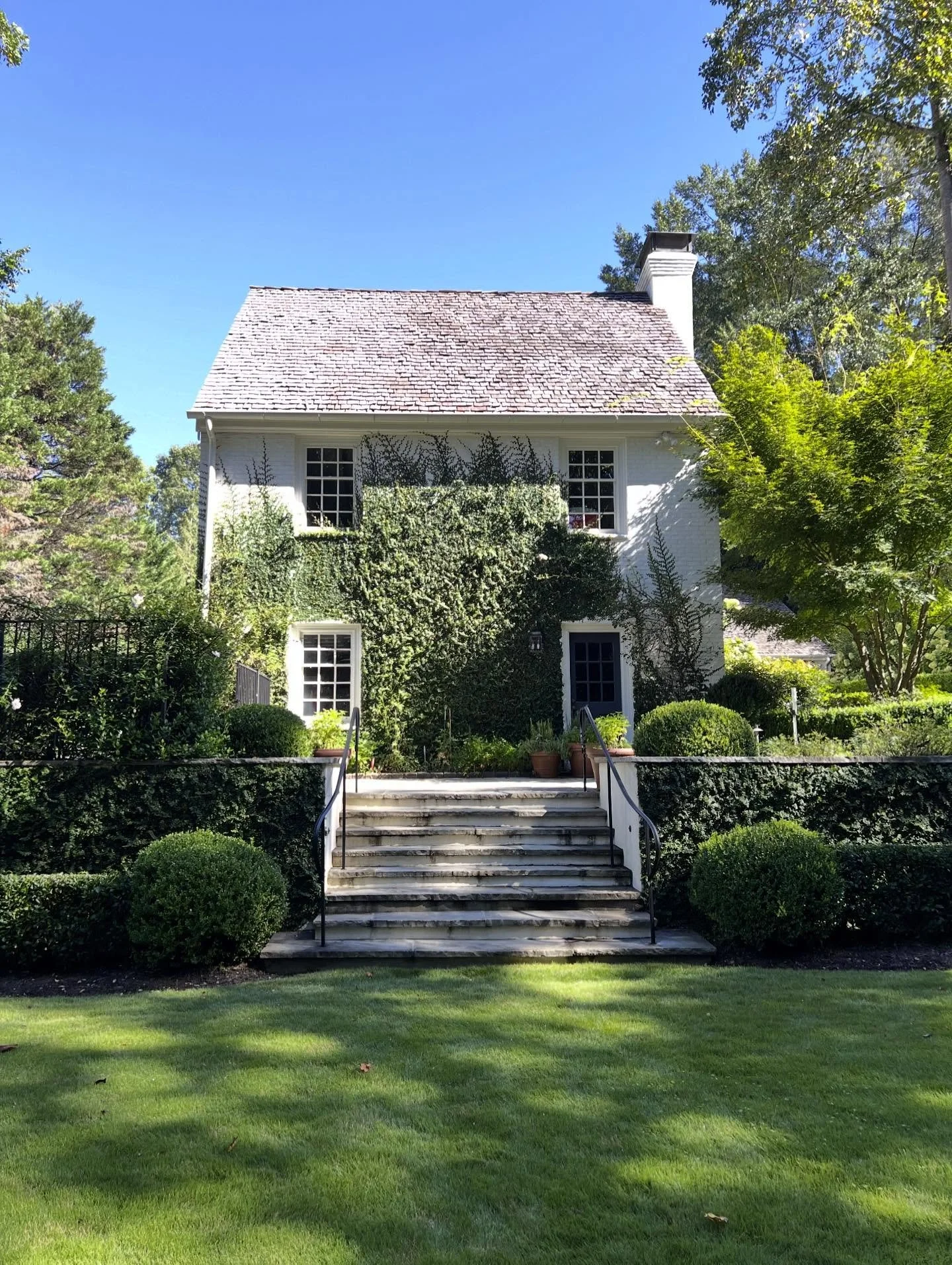 A charming morning view as we prepare to start on the next phase! Boxwoods and creeping fig make for a classic green backdrop.