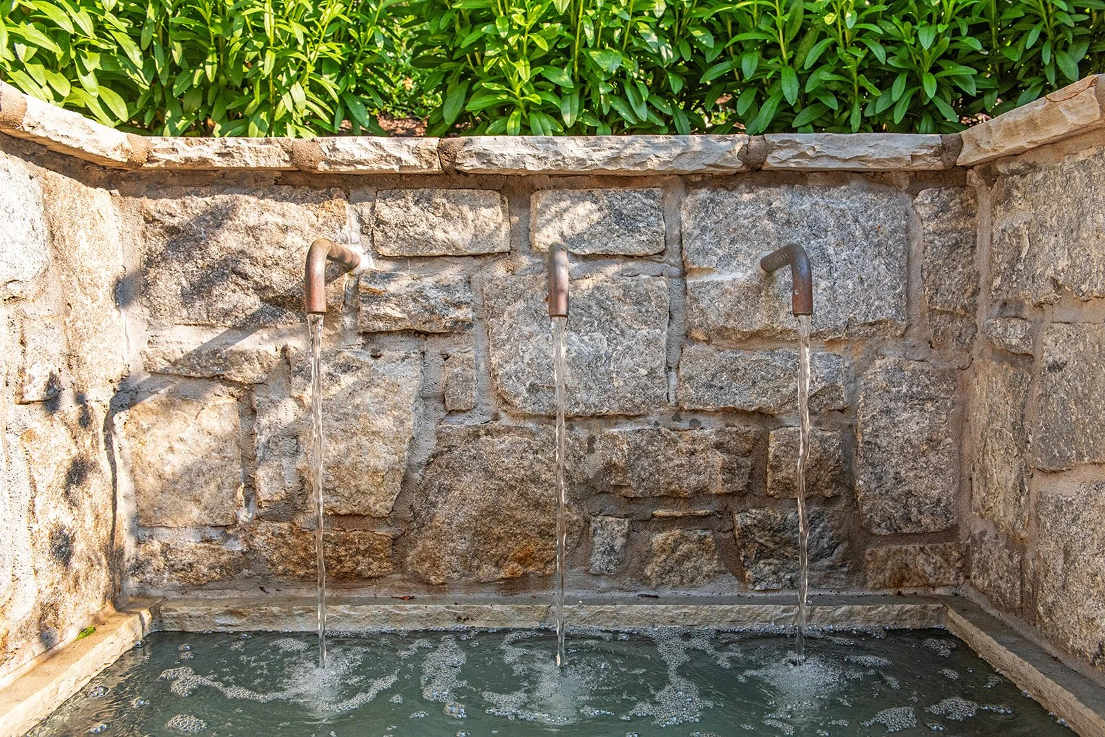 250603KWR_6182.jpg