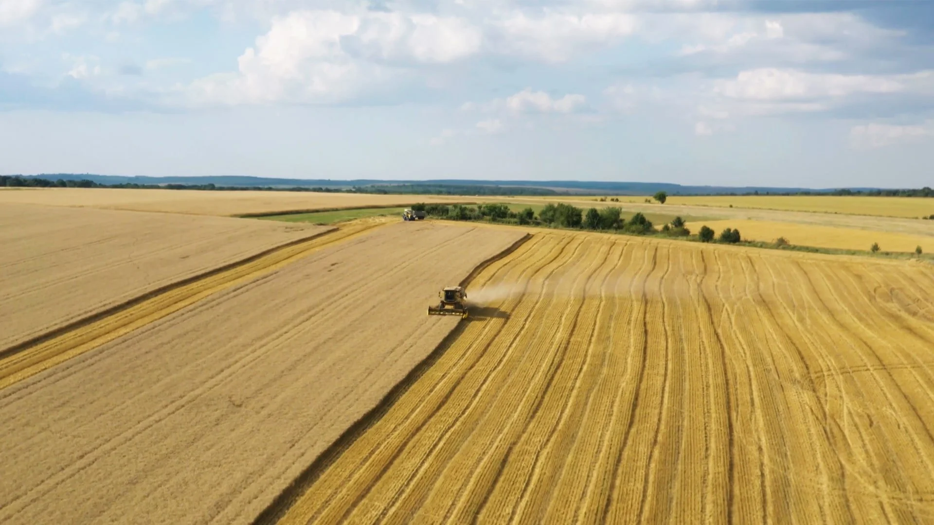 Two combine harvesters work in a vast golden wheat field under a partly cloudy sky.