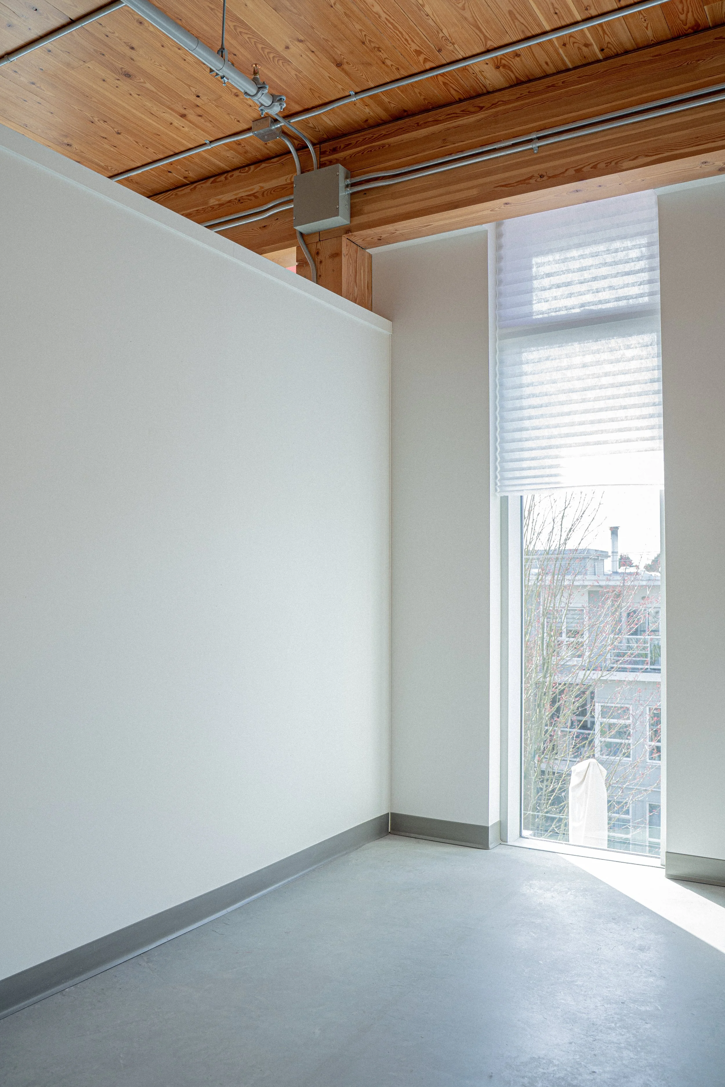 Professional Handling & Installation