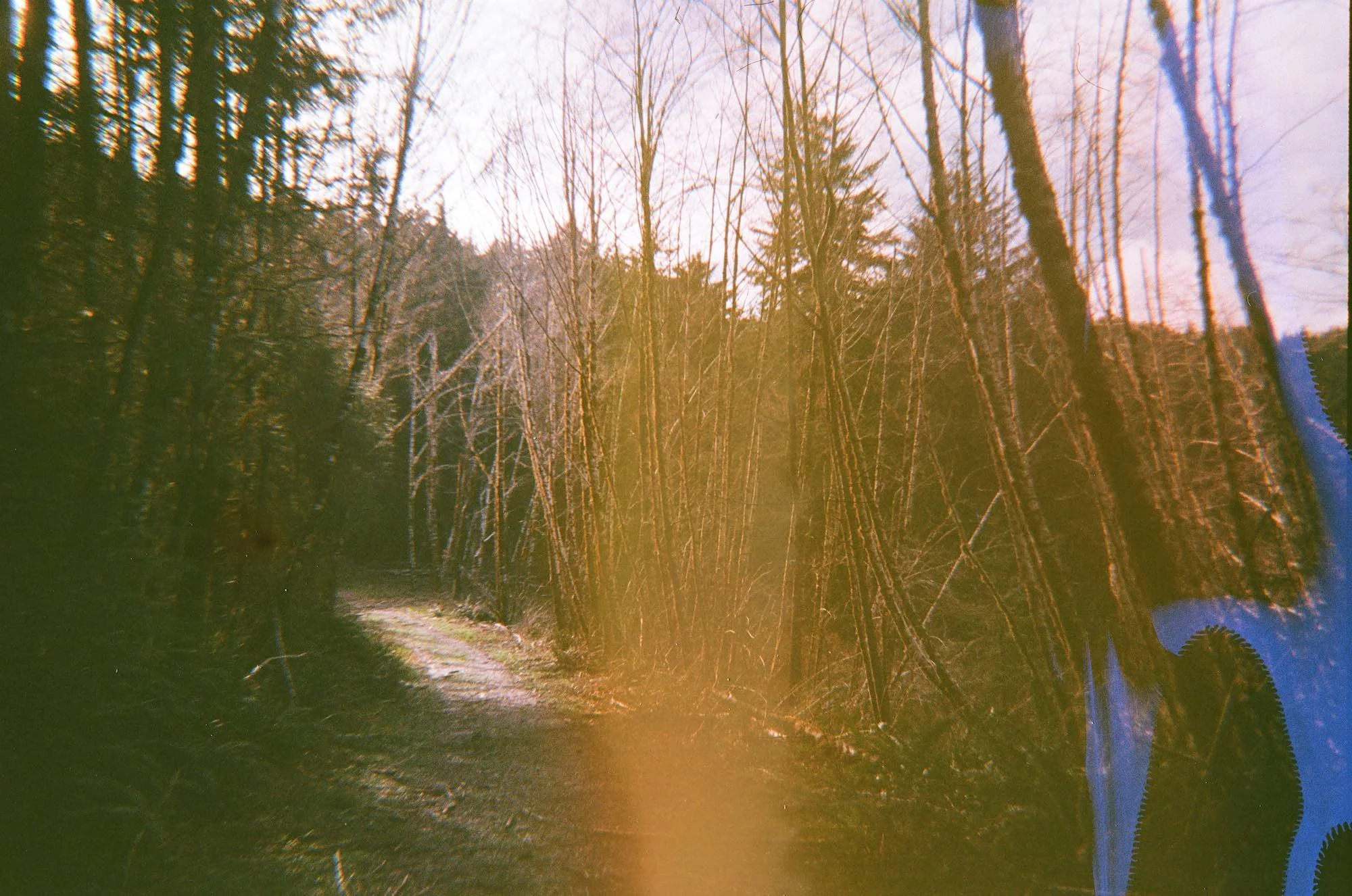 Untitled 9 copy.jpg