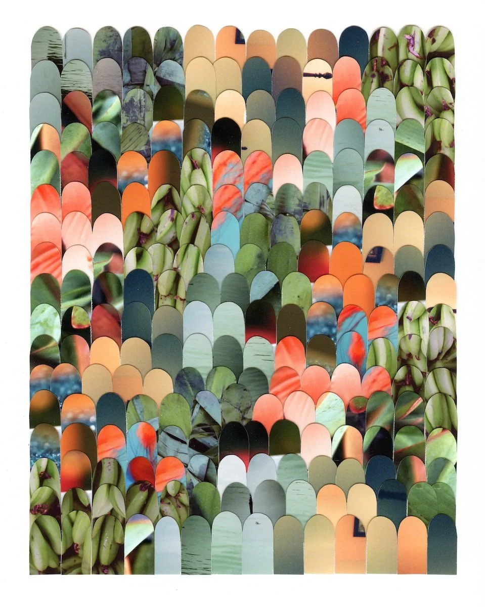 Green & Orange.jpg