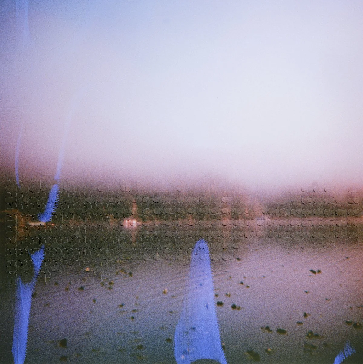 2024_1217_James-6 copy.jpg