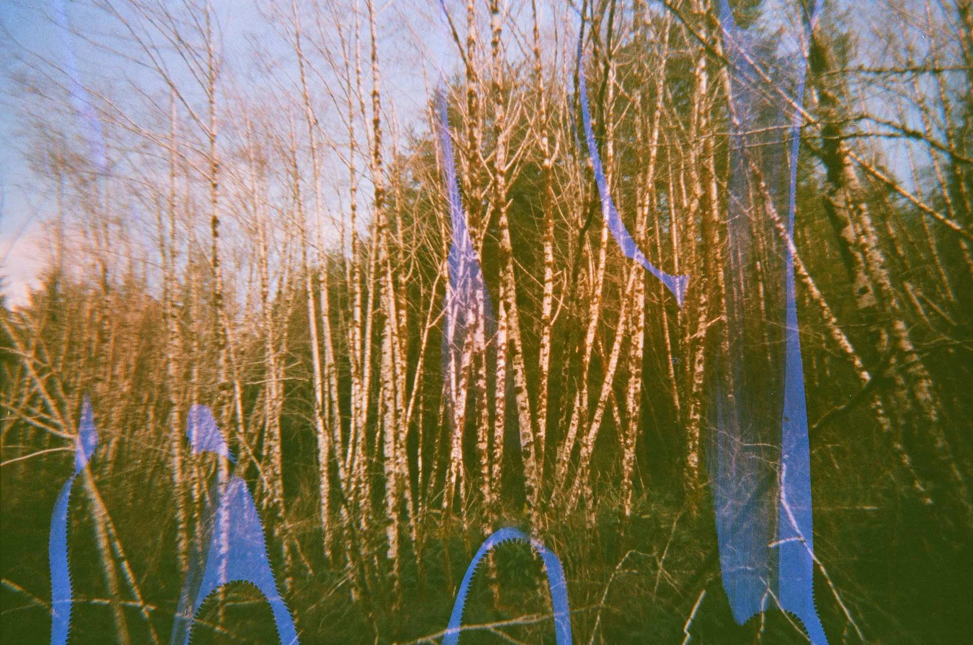 Untitled 8 copy.jpg