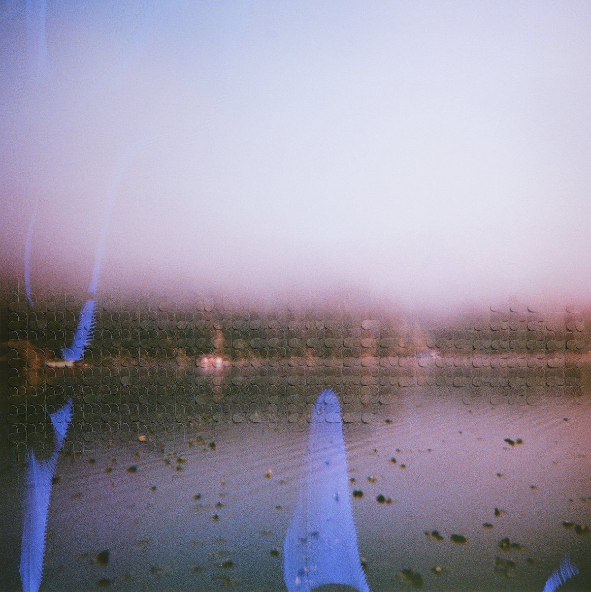 2024_1217_James-6 copy.jpg
