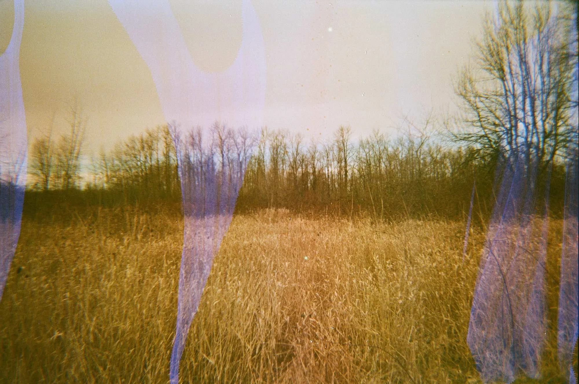 Untitled 6 copy.jpg