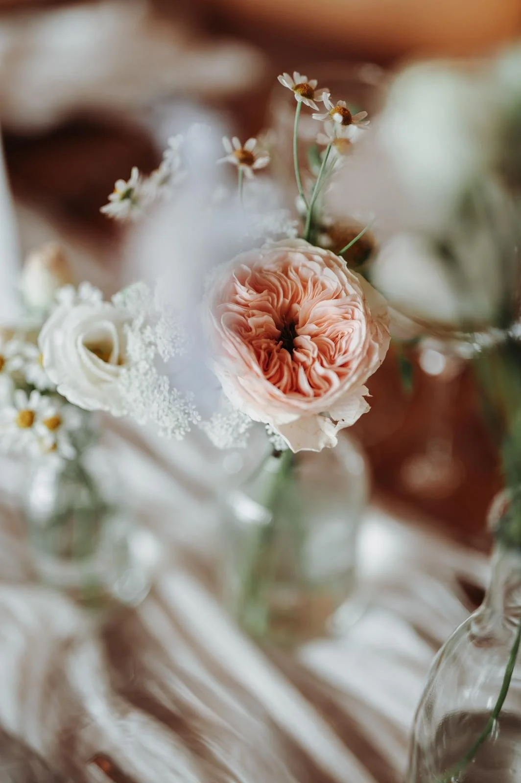 Close-up of a pink and white flower with small white daisies around it in a glass vase.