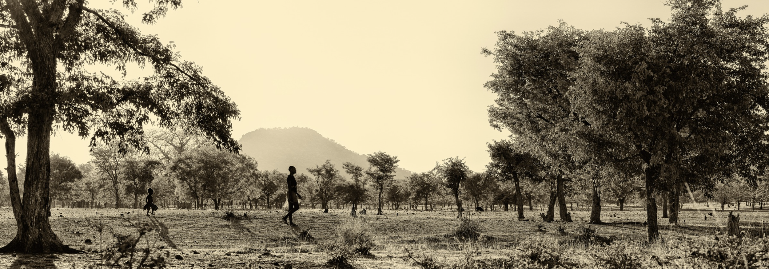 Screenshot 2026-03-31 at 10.25.58 AM.png