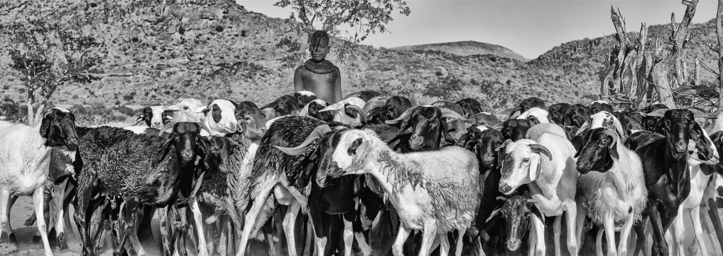 Screenshot 2026-03-31 at 10.18.47 AM.png