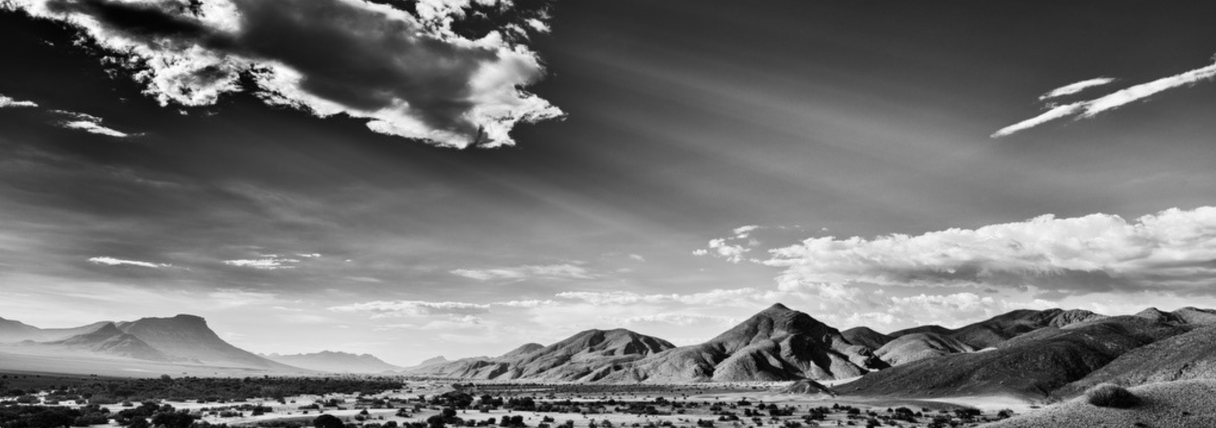 Screenshot 2026-03-31 at 10.17.39 AM.png