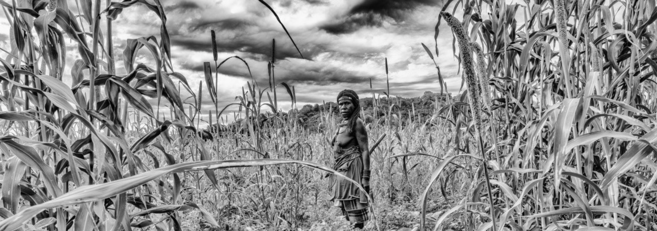 Screenshot 2026-03-31 at 10.19.37 AM.png