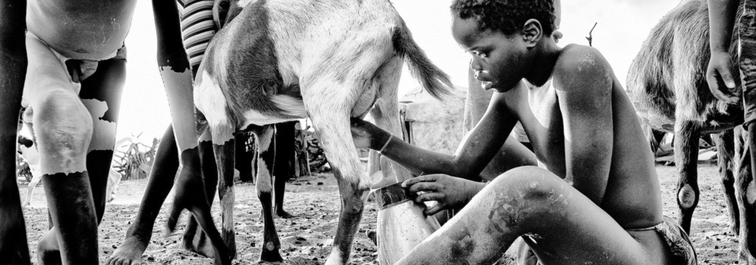 Screenshot 2026-03-31 at 10.18.40 AM.png