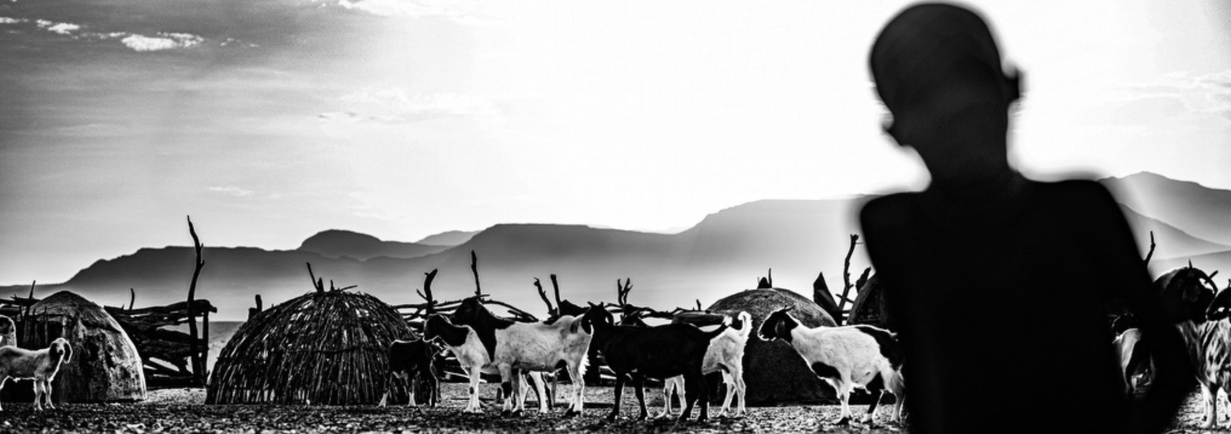 Screenshot 2026-03-31 at 10.19.25 AM.png