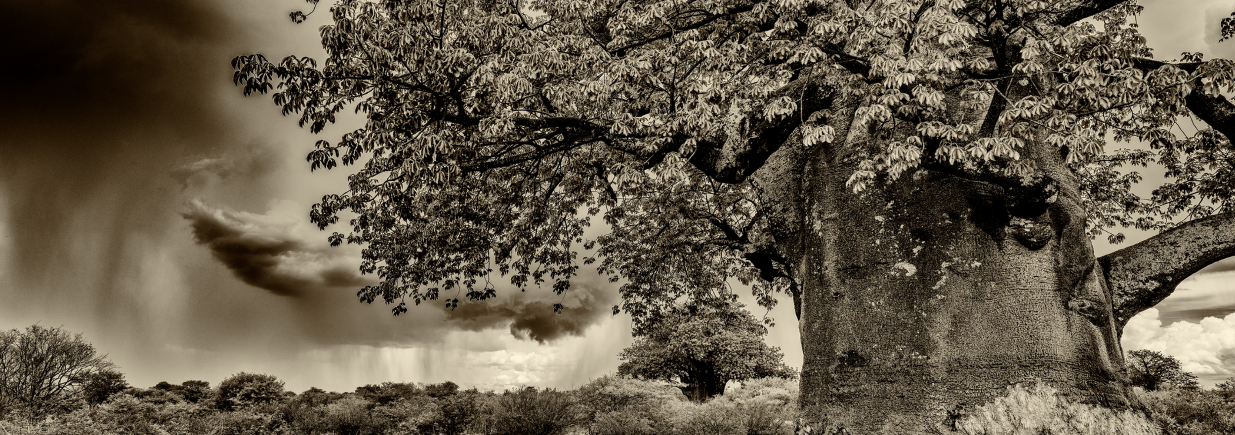 Screenshot 2026-03-31 at 10.24.47 AM.png