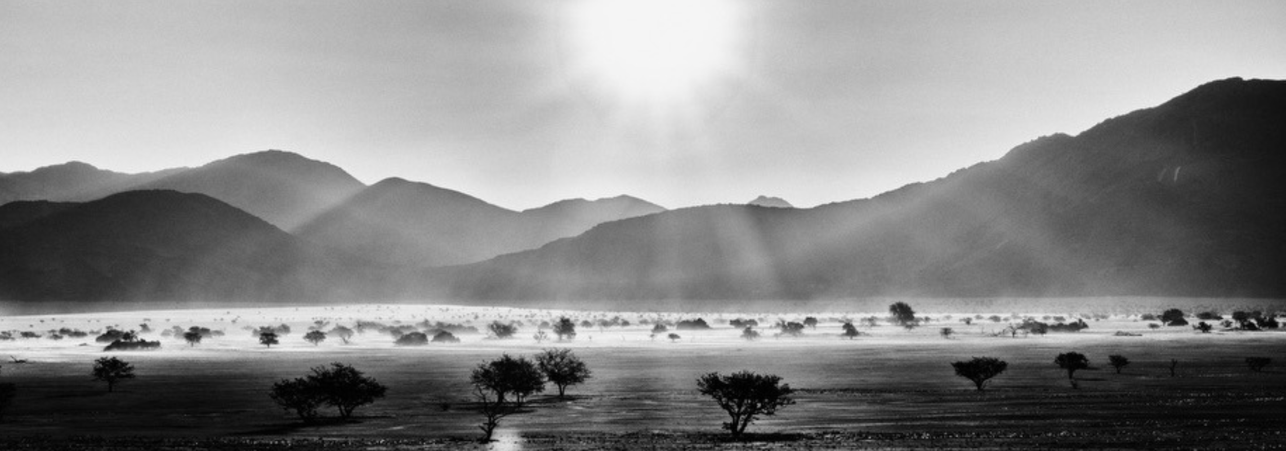 Screenshot 2026-03-31 at 10.19.50 AM.png